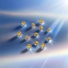 Golden flower-shaped spacers, pearl necklace, bracelet, jewelry accessories, decorative accessories Application Scenario
